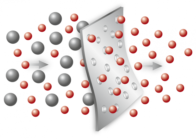 Membrane Separation