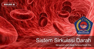 Download Materi Bab 5 Sistem Sirkulasi Darah Kelas XI | Sistem Peredaran Darah