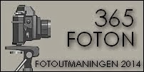 Utmaning 365 foton