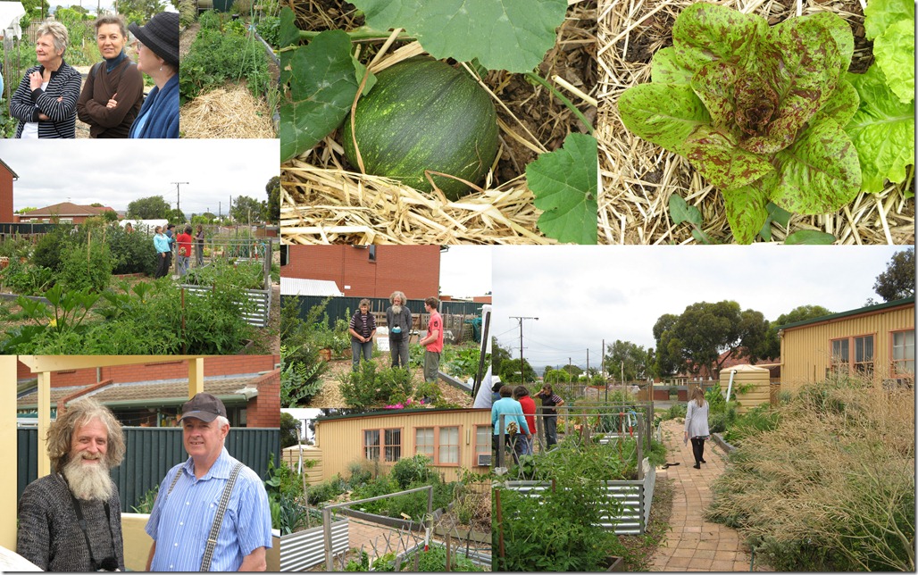 Seedsavers at Glandore1