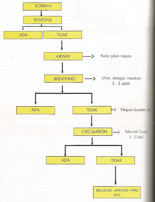 Diagram Alir Resusitasi Jantung Paru (RJP)