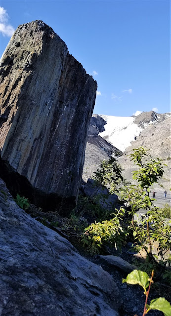 View of Worthington Glacier during 2018 visit