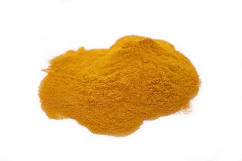 Turmeric - Curcuma