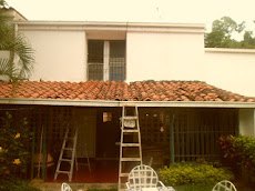 Reorganización de Tejado y Asfaltado con Manto