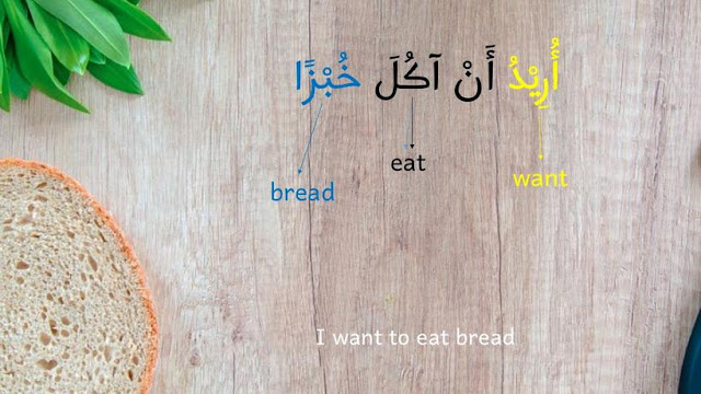 sentence example using want in arabic with english translation