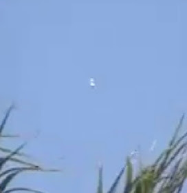 UFO Over Topanga Canyon