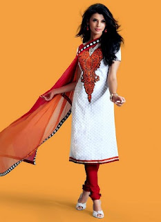 Indian-Festive-Salwar-Kameez