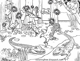 Australia's magical rainforest complex picture Australian coloring pages for teenagers difficult art