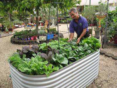 Garden Ideas For Small Gardens. 2010 A garden screen | Small