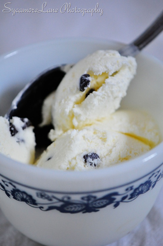 chocolate chip ice cream-1