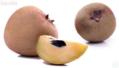 sapodilla fruit