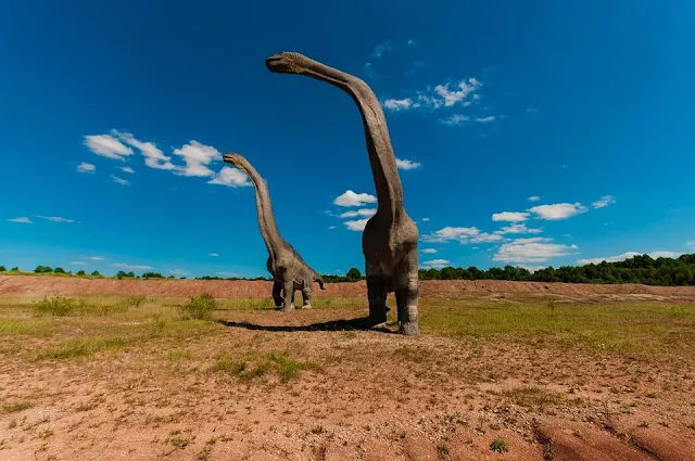 Two brachiosaurus