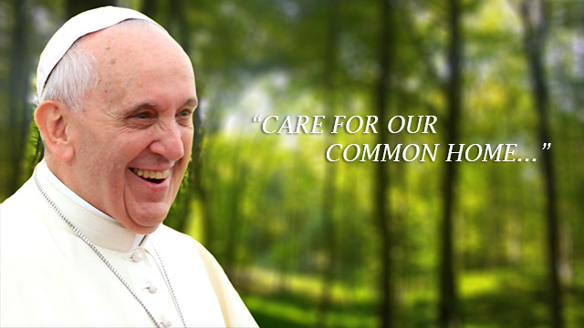 Show mercy to our common home (Pope Francis)