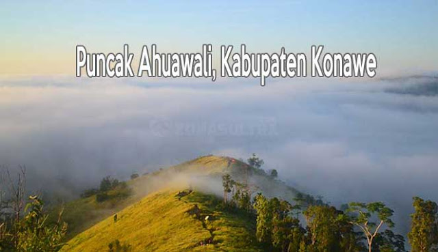 PUNCAK AHUAWALI, NEGRI DI ATAS AWAN DARI KONAWE