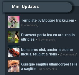 Mini Updates