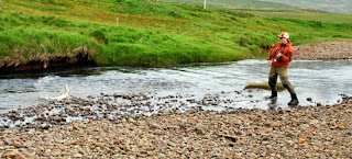 Fishing in Iceland