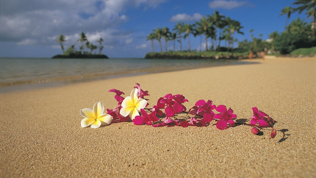 Oahu Beach , Pearl of The Hawaai