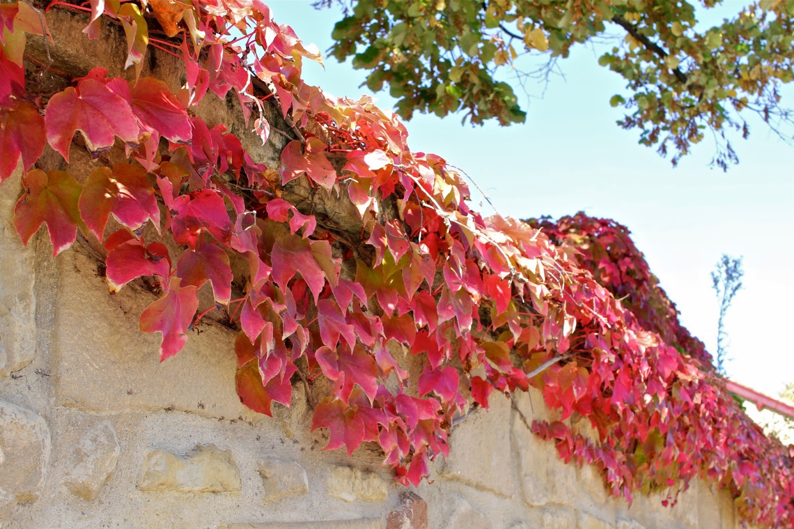 Wine Tasting in Haro, La Rioja - the heart of Spanish wine country