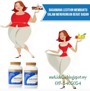 Lecithin bertindak sebagai pengemulsi lemak