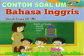 Contoh Soal Ujian Madrasah (UM) Bahasa Inggris Jenjang MI