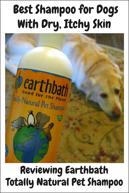 What do I believe is the best shampoo for dogs with dry, itchy skin? Earthbath Totally Natural Pet Shampoo with oatmeal and aloe. Here's my review.