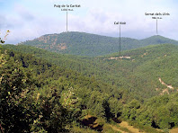 Vistes del Puig de la Caritat i de Cal Noè des del Coll d'Irana