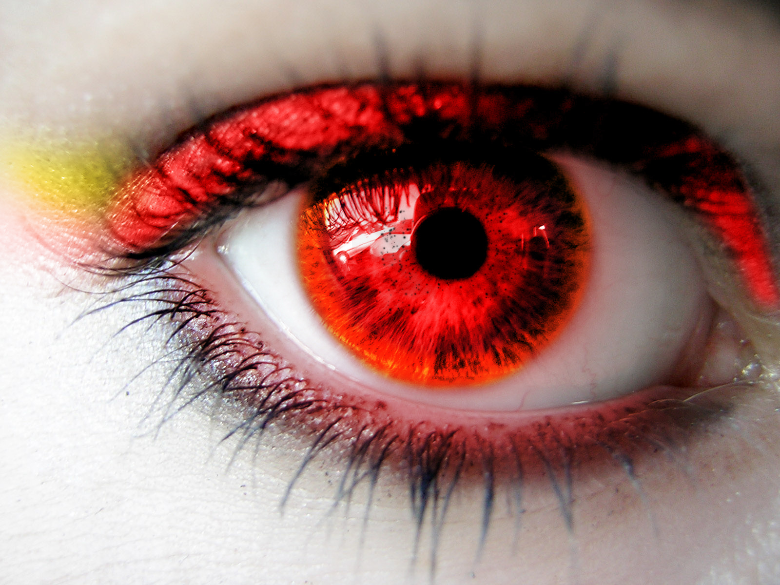 HD Eyes Wallpaper ~ latest wallpapers free download