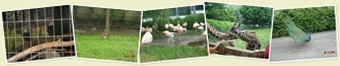 View Zoo