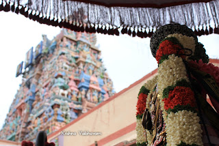 Koadi Utsavam,Day 03, Purappadu,Video, Divya Prabhandam,Sri Parthasarathy Perumal, Triplicane,Thiruvallikeni,Utsavam,