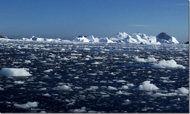Cierva_Cove_DSC05245