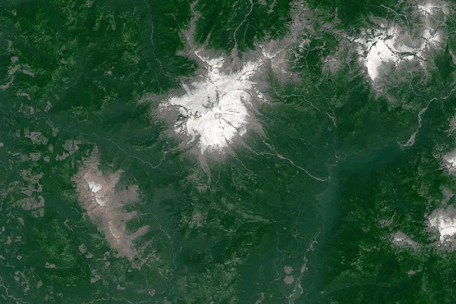 From July 2013 to July 2015. Mount Baker's snow cover is dwindling.    Earth Observatory at NASA