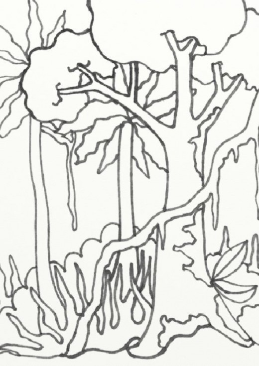 Rainforest Coloring Sheets 8