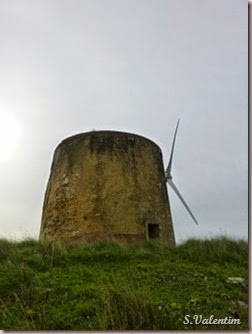 P1140498