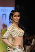 Bollywood, Hot, Actress, at, IIJW, Photos