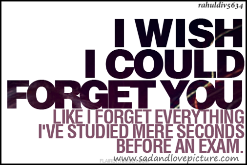 I Wish I Could Forget You