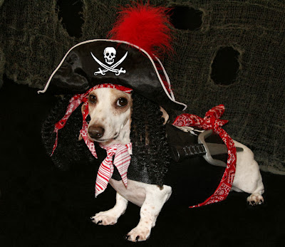 dog halloween photos