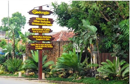 tempat wisata alam di jogja dan sekitarnya