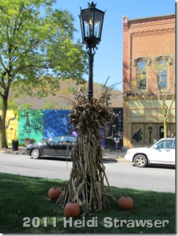 fall 2011 010