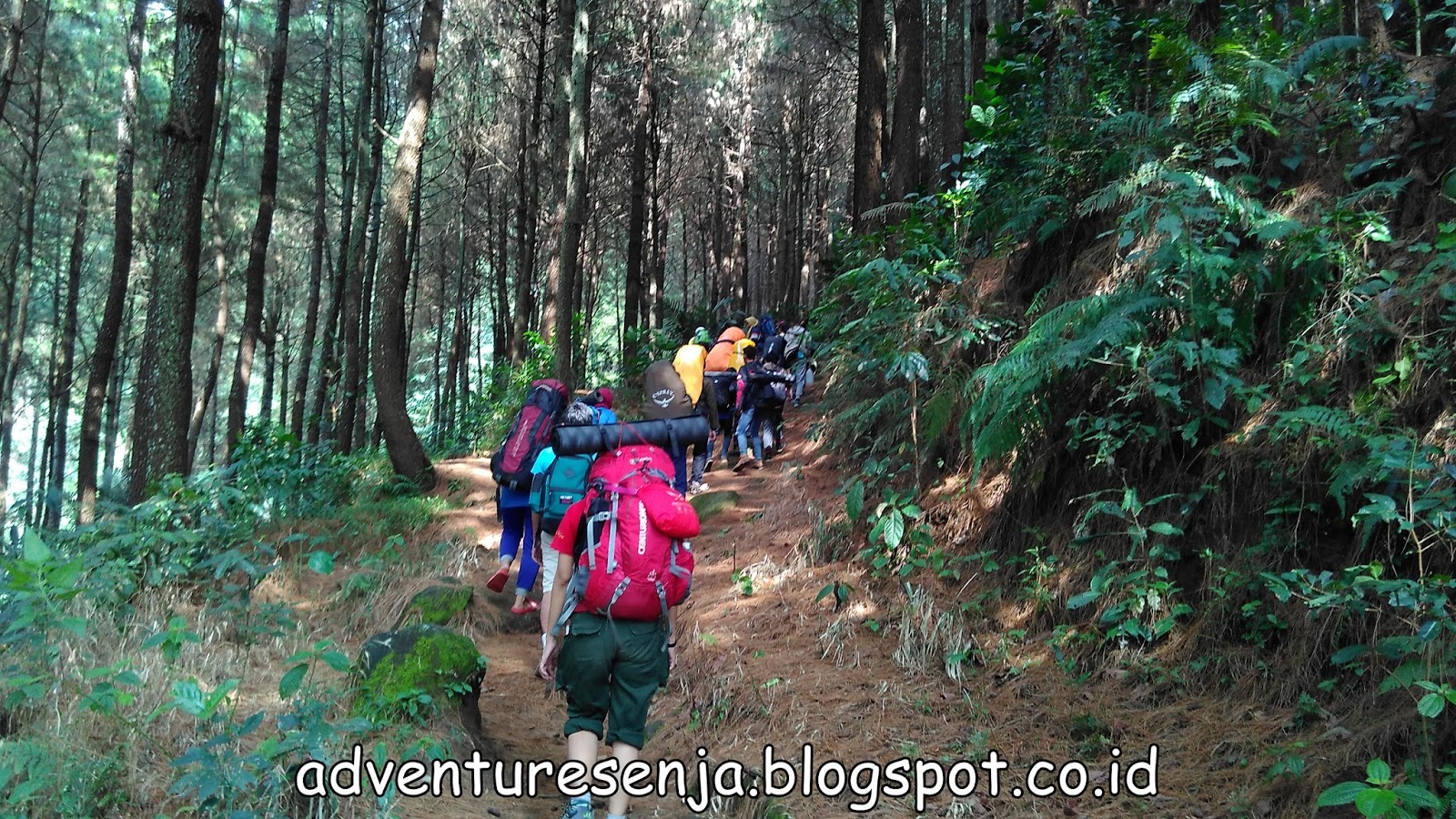 Kisah Mistis Saat Pendakian Gunung (Pengalaman Pribadi 