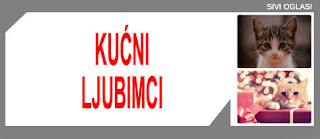 * KUĆNI LJUBIMCI SIVI OGLASI - 9.