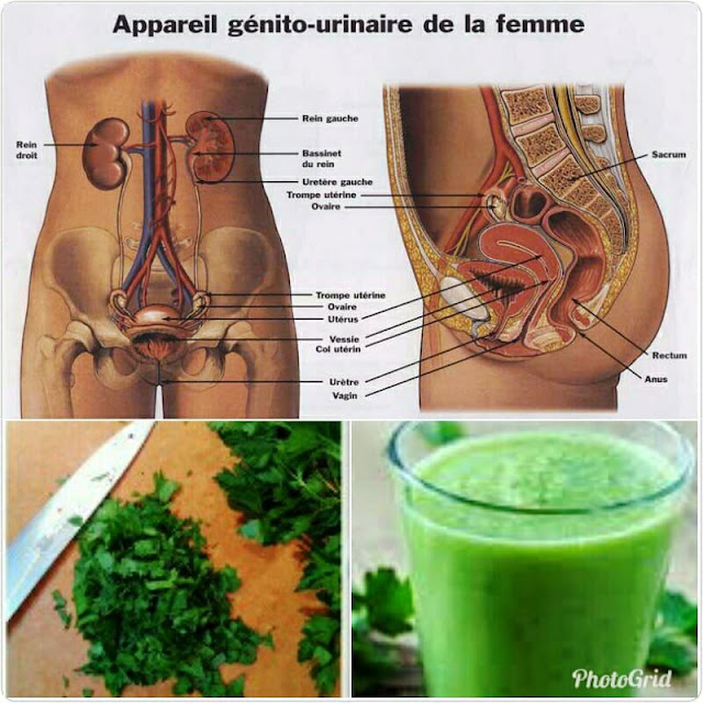 remede-naturel-infection-urinaire