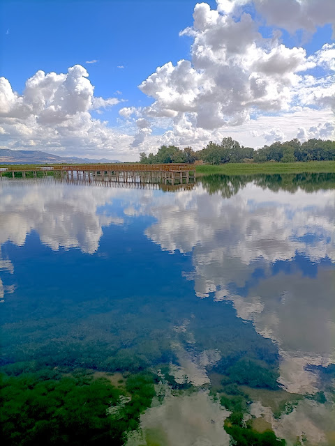 Las Tablas de Daimiel en verano