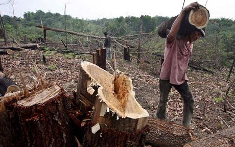 Bumiku Hijau Langkah Mengurangi Pemanasan Global dan 