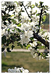 blog 11