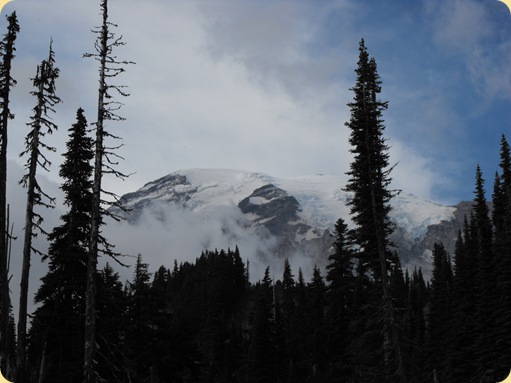 Mt. Rainier 236