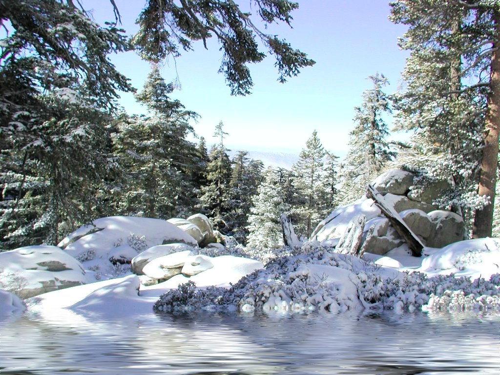 christmas snow scene