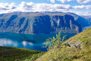 Aurlandsfjord by Terese Kvinge