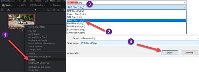 esportare-fotogramma-davinci-resolve