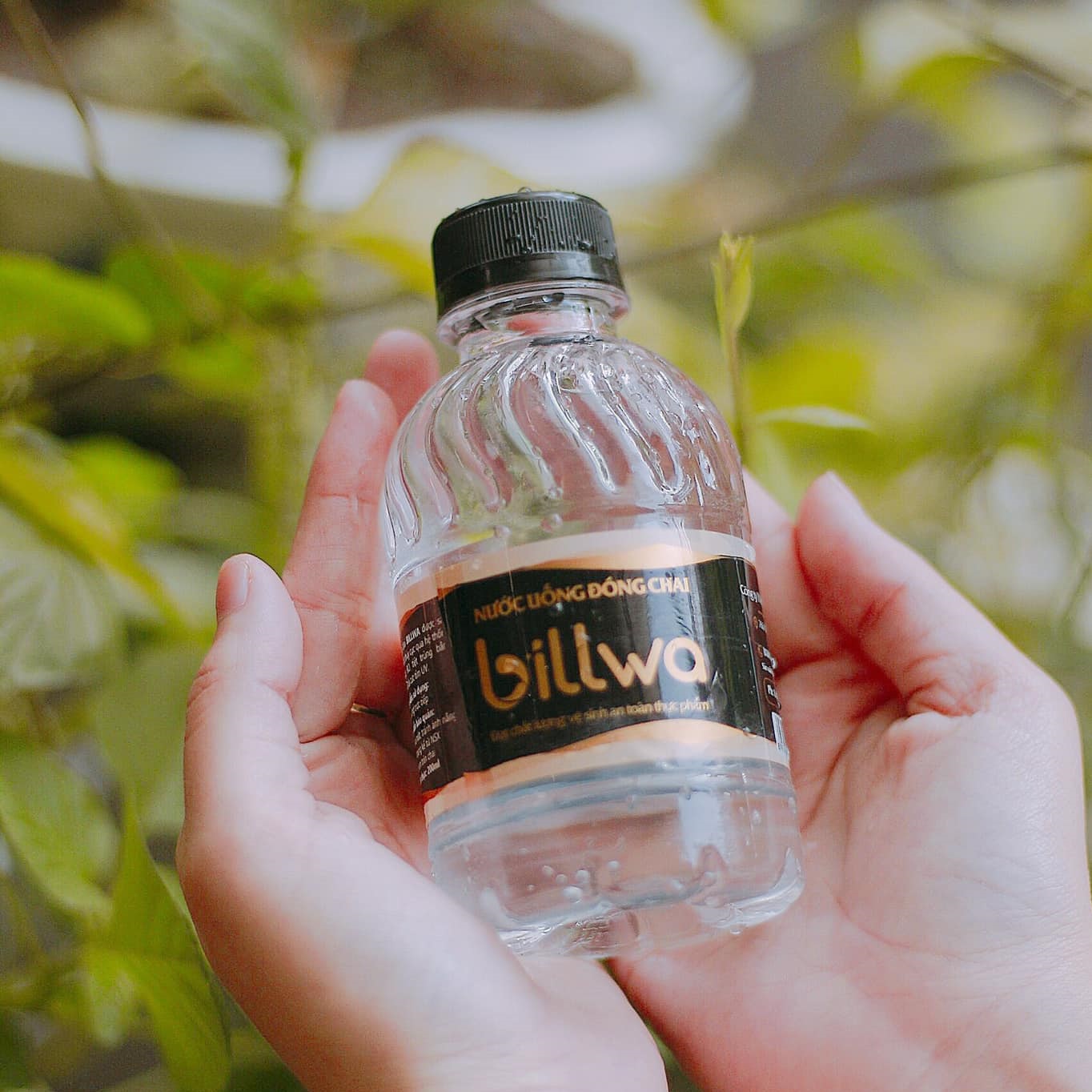 Nước suối chai mini Billwa 200ml
