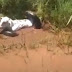 VÍDEO MOSTRA PESSOAS SALVANDO VACA DE SER COMIDA POR ANACONDA